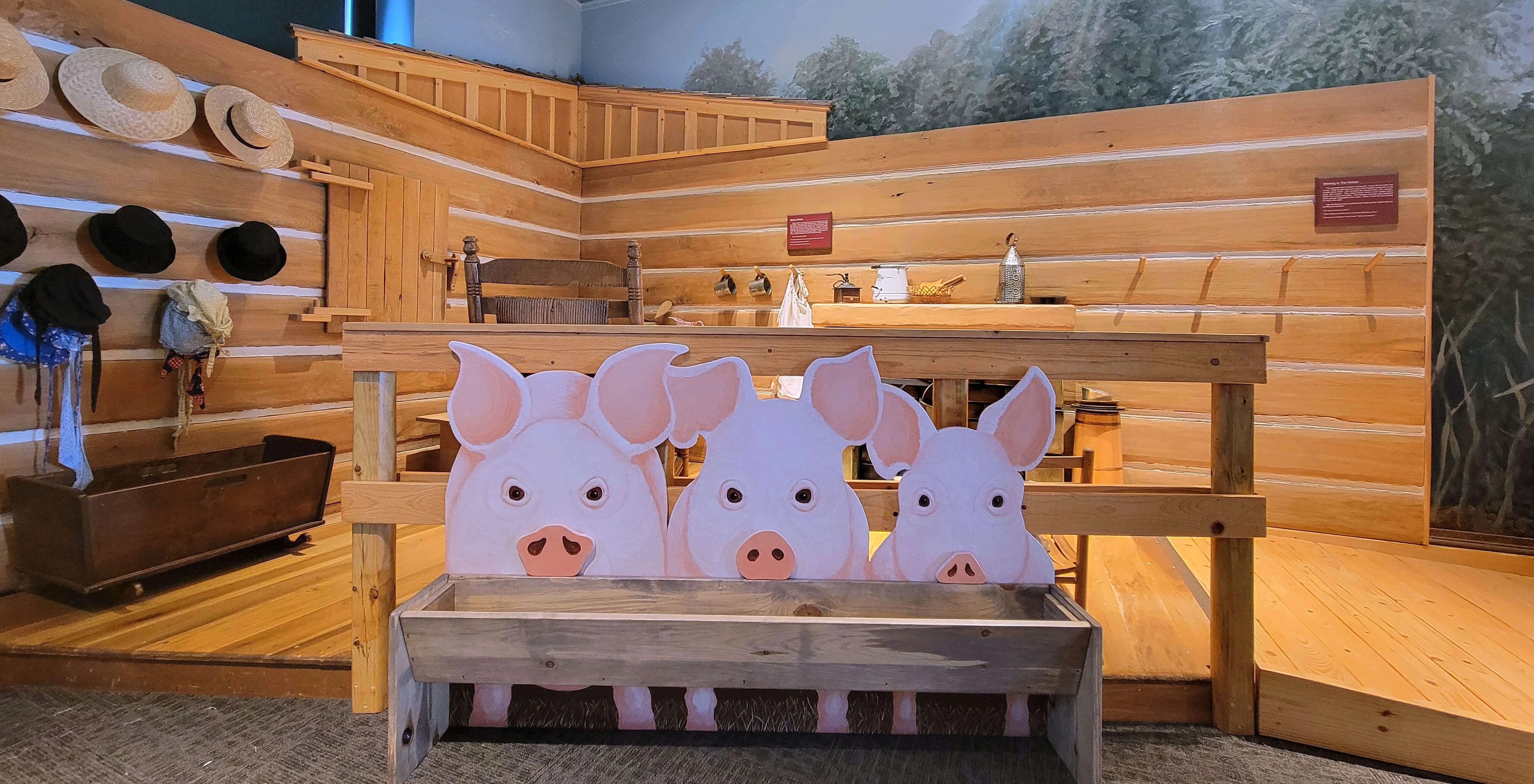 Discovery Room exhibit