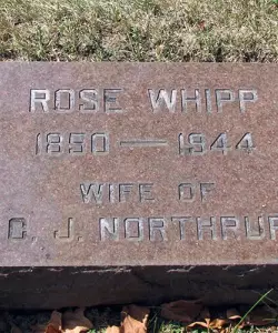 Rose Whipp