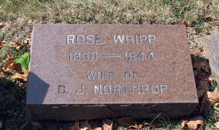 Rose Whipp
