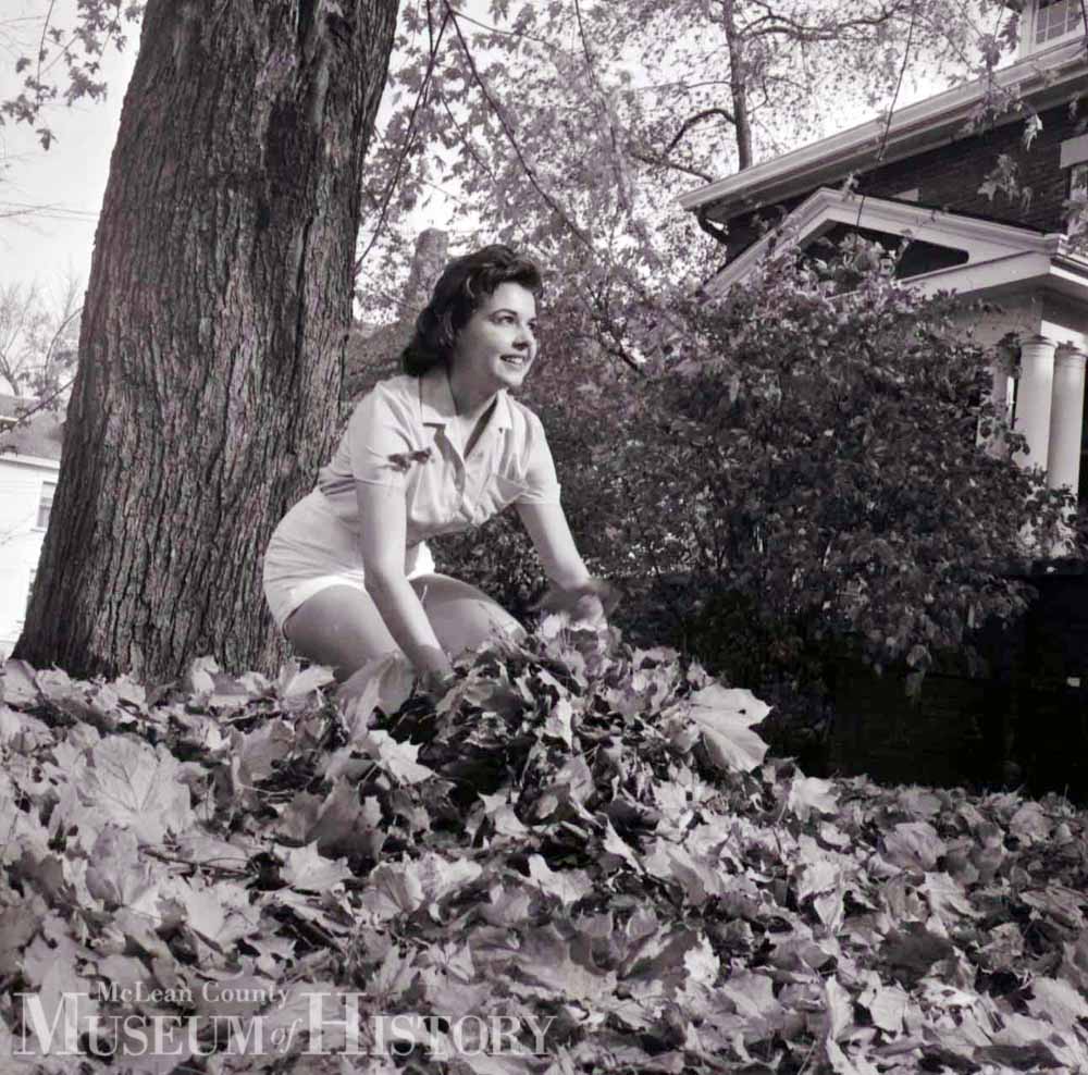 Fall leaves, 1961.