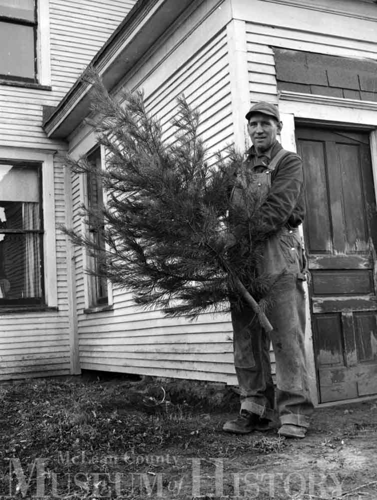 Herman Jack holding young Christmas tree, 1952.
